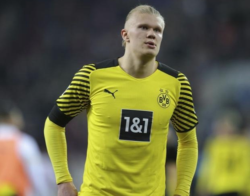 青少年校园马术启蒙：在马背成长中涵养品格